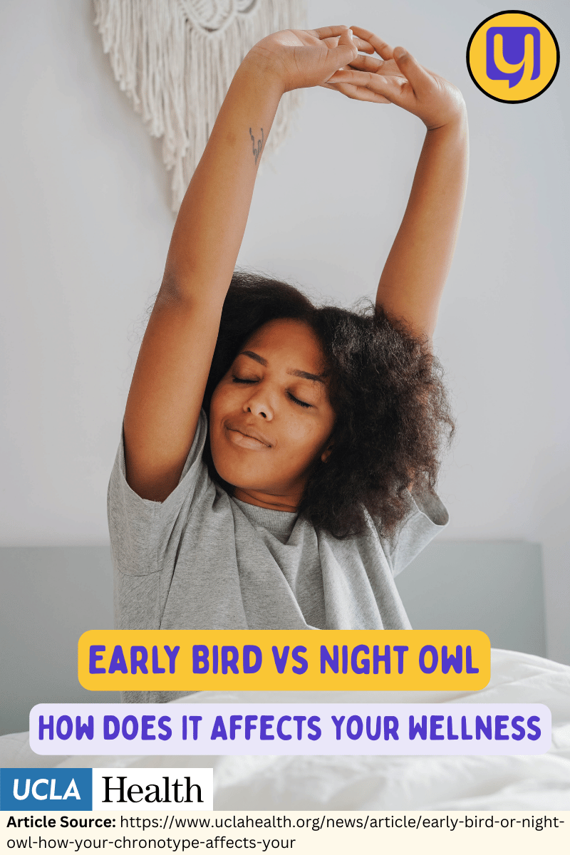 How Being An Early Bird or Night Owl Affects Your Wellness