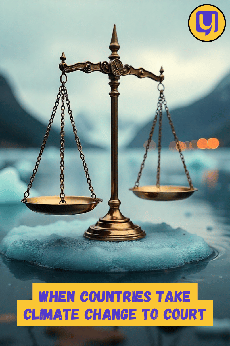 When Countries Take Climate Change to Court